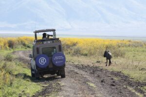a person on a vehicle on a dirt road with a horse